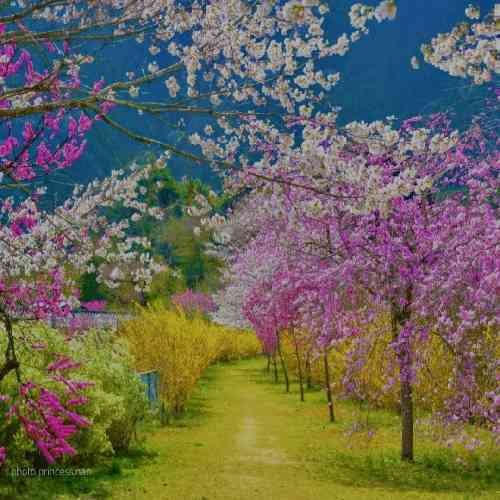 وحید سدیدی و مرتضی جوان ای دل تو منو دست غمها دادی پیک مرا بالا بگیر